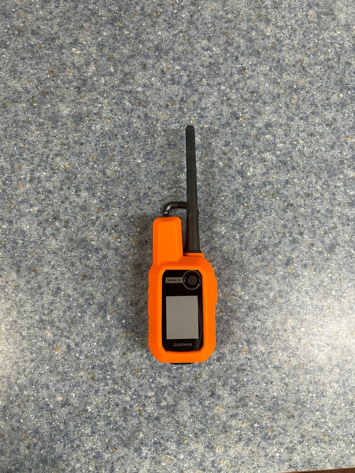Garmin Alpha 10 Case and Screen Protector