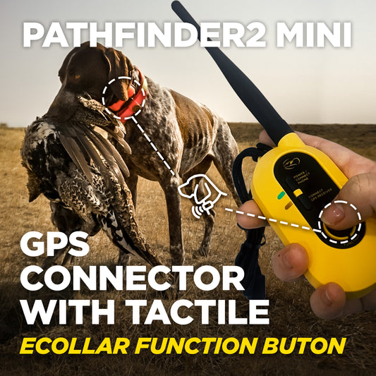PATHFINDER2 MINI