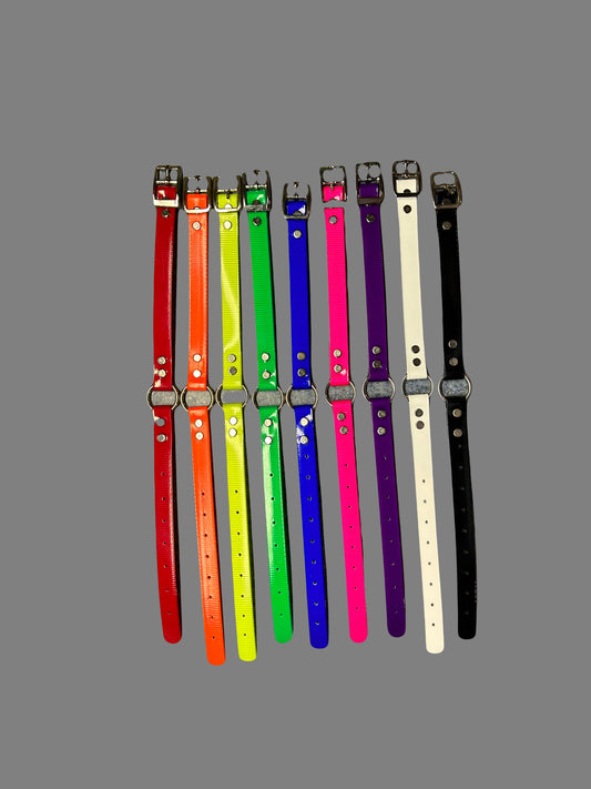 3/4" O-Ring Dog Collar