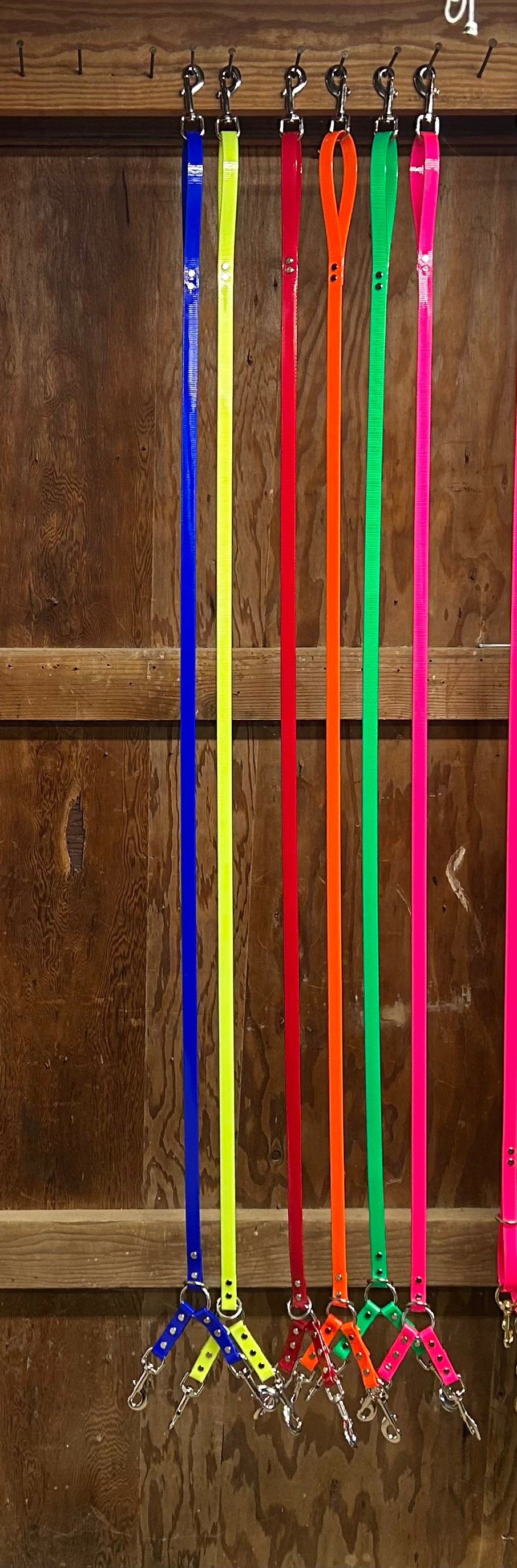 5' DayGlo Lead 2 or 3 Dog