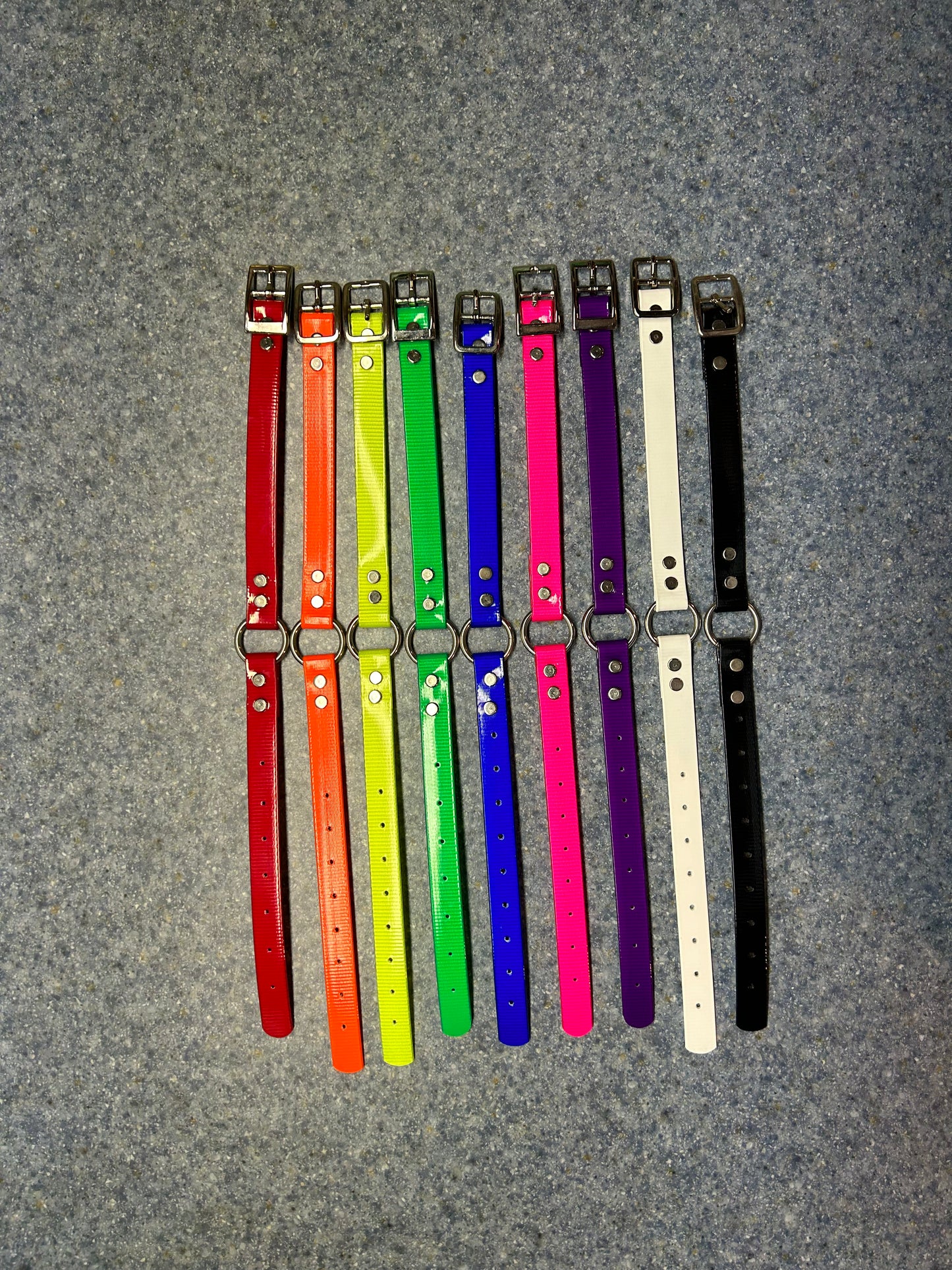 3/4" O-Ring Dog Collar