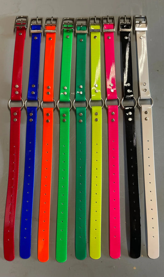 1" O-Ring Dog Collar