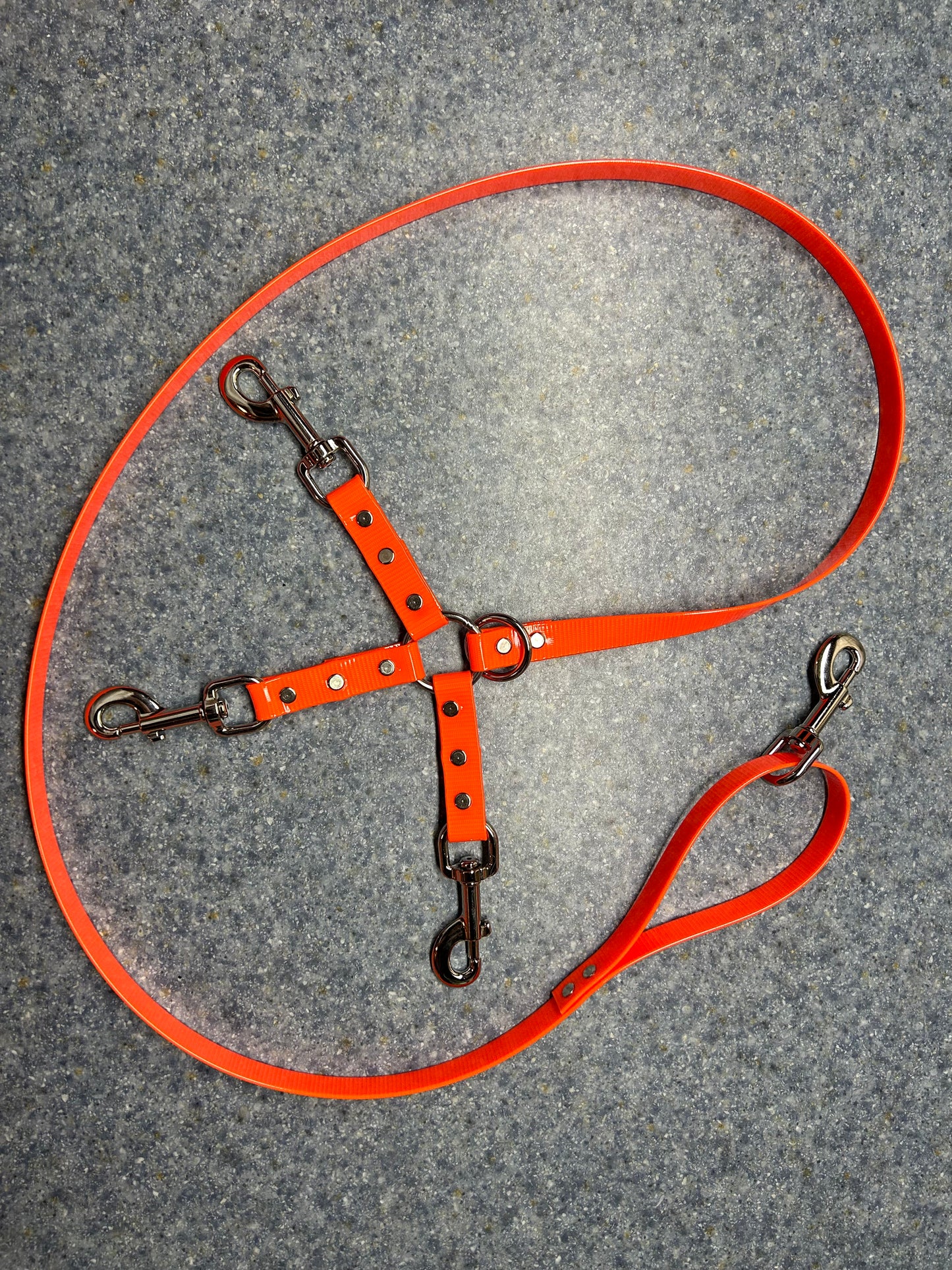 5' DayGlo Lead 2 or 3 Dog